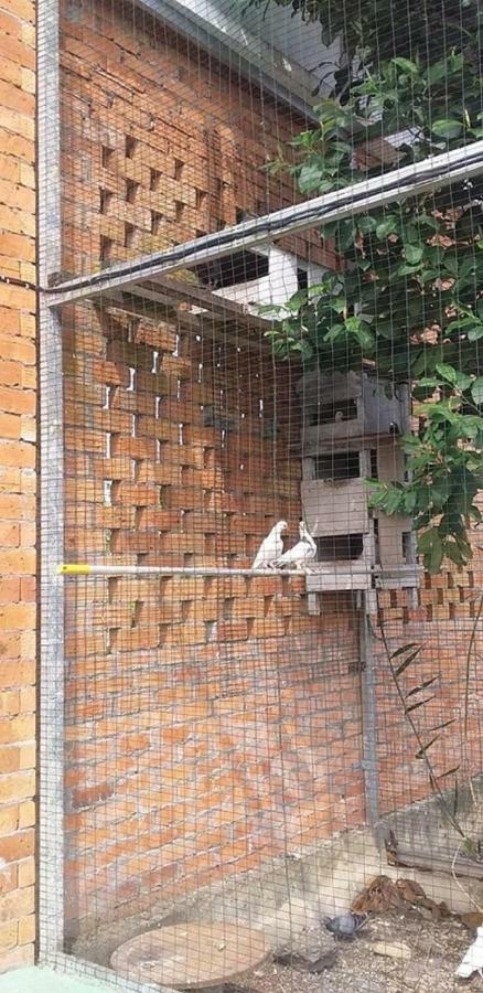 Seri Kenangan Kota Samarahan Exteriör bild